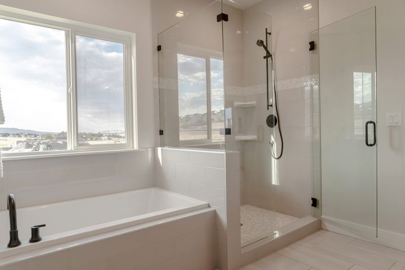 Bathtub and Shower Combo